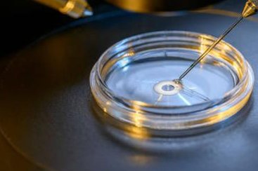 泰国试管婴儿费用明细表公布，2026泰国试管价格详细