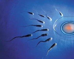 染色体易位在郑州大学第一附属医院可以做三代试管吗？染色体平衡易位还能生健康的宝宝吗？