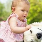 特需费用多少 附2026南昌特需试管医院