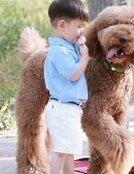 重庆医院做试管婴儿要多少钱？(2026重庆试管费用参考)