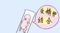 甘肃省妇幼保健院做特需试管要等多久？特需试管婴儿价格多少