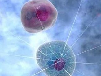 染色体易位在天津市中心妇产科医院可以做三代试管吗？染色体平衡易位还能生健康的宝宝吗？